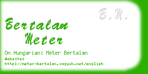 bertalan meter business card